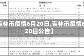 【吉林市疫情6月20日,吉林市疫情6月20日公告】