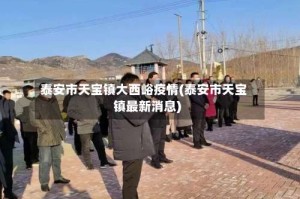 泰安市天宝镇大西峪疫情(泰安市天宝镇最新消息)