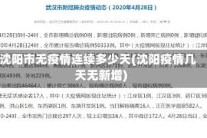 沈阳市无疫情连续多少天(沈阳疫情几天无新增)