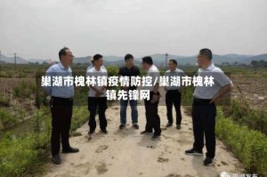 巢湖市槐林镇疫情防控/巢湖市槐林镇先锋网