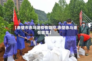 【赤壁市赤马港疫情防控,赤壁赤马港在哪里】