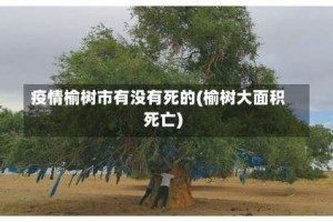 疫情榆树市有没有死的(榆树大面积死亡)