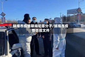 蚌埠市疫情期间犯罪分子/蚌埠市疫情防控文件