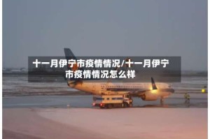 十一月伊宁市疫情情况/十一月伊宁市疫情情况怎么样