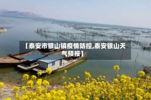 【泰安市银山镇疫情防控,泰安银山天气预报】