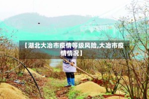 【湖北大冶市疫情等级风险,大冶市疫情情况】
