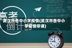 武汉市各中小学疫情(武汉市各中小学疫情停课)