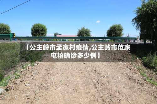 【公主岭市孟家村疫情,公主岭市范家屯镇确诊多少例】-第1张图片