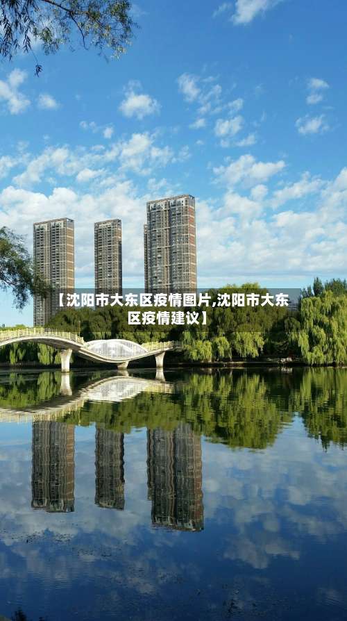 【沈阳市大东区疫情图片,沈阳市大东区疫情建议】-第2张图片