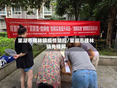 巢湖市槐林镇疫情防控/巢湖市槐林镇先锋网-第2张图片
