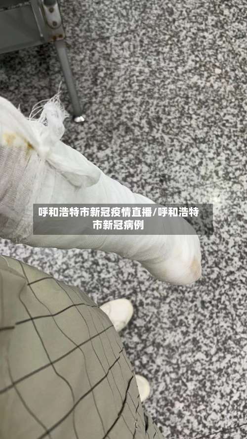 呼和浩特市新冠疫情直播/呼和浩特市新冠病例-第1张图片