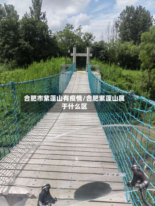 合肥市紫蓬山有疫情/合肥紫蓬山属于什么区-第1张图片