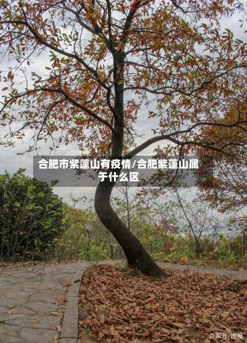 合肥市紫蓬山有疫情/合肥紫蓬山属于什么区-第2张图片