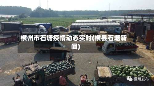 横州市石塘疫情动态实时(横县石塘新闻)-第2张图片