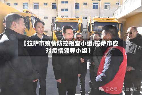 【拉萨市疫情防控检查小组,拉萨市应对疫情领导小组】-第1张图片