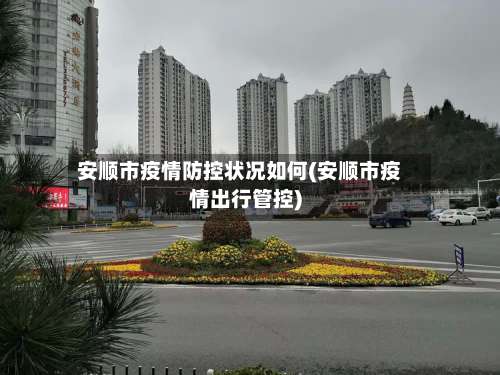 安顺市疫情防控状况如何(安顺市疫情出行管控)-第2张图片