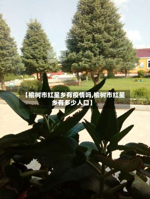 【榆树市红星乡有疫情吗,榆树市红星乡有多少人口】-第3张图片